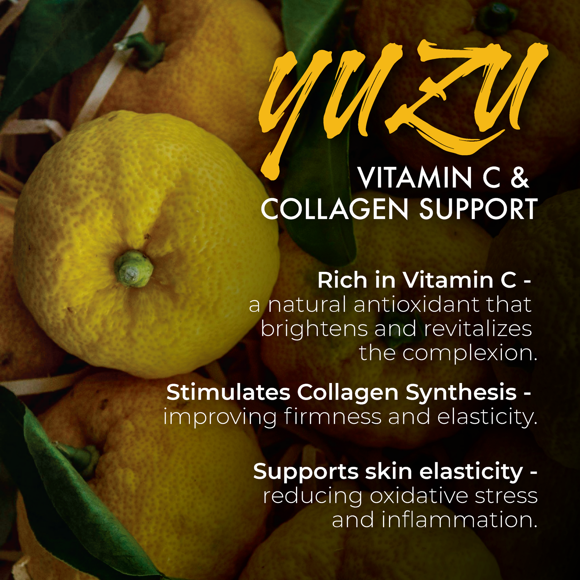 Tallow Balm + Vitamin C and Collagen Support with Organic Yuzu